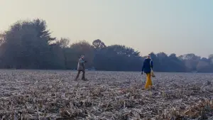 Задник к фильму "Милые кости" #654186