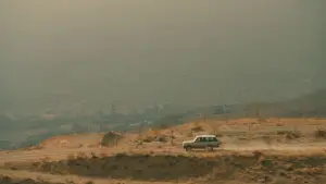 Задник к фильму "Вкус вишни" #695673