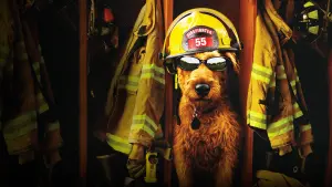 Задник к фильму "Пожарный пёс" #429242