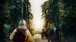 Задник к фильму "Дорога хаоса" #496710