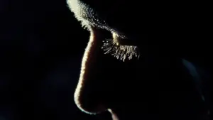 Задник к фильму "Человек на Луне" #631217