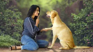 Задник к фильму "777 Чарли" #418950