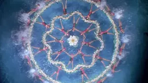 Видео к фильму Прекрасная купальщица | Bathing Beauty - Official Trailer (1944)