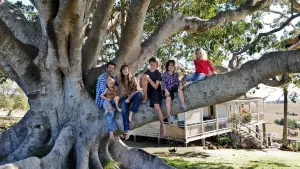 Задник к фильму "Дерево" #462408