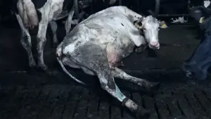 Задник к фильму "" #479844