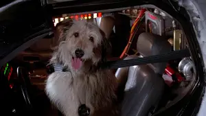 Задник к фильму "Назад в будущее" #550608