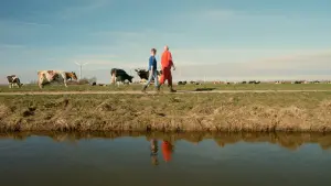 Задник к фильму "" #312197