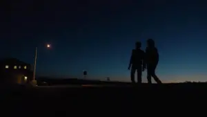 Задник к фильму "Щегол" #727918