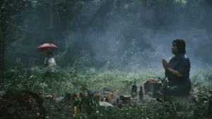 Задник к фильму "Паранормальные явления. Медиум" #244614