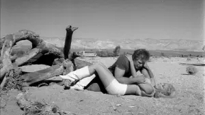 Задник к фильму "Быстрая Кошечка! Убей, Убей!" #467263