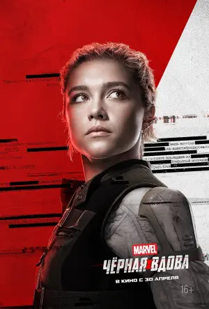 Постер к фильму "Чёрная вдова" #23621