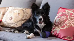 Задник к фильму "" #543511