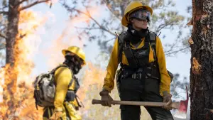 Задник к фильму "Те, кто желает мне смерти" #270756