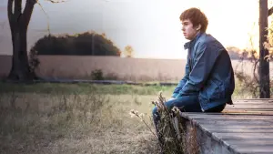 Задник к фильму "Бумажные города" #331878