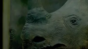 Задник к фильму "Little, Big, and Far" #799683