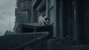 Задник к фильму "Тихое место: День первый" #563348