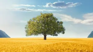 Задник к фильму "Милые кости" #654218