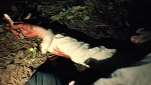 Задник к фильму "Дьявол всегда здесь" #713602