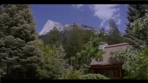 Задник к фильму "Почему?" #385961