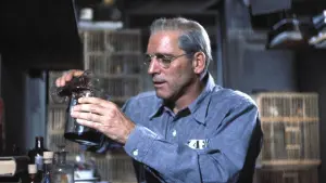 Задник к фильму "Любитель птиц из Алькатраса" #390202