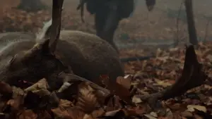 Задник к фильму "Охота" #650056