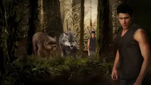 Задник к фильму "Сумерки. Сага: Новолуние" #519648