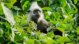 Задник к фильму "Земля: Один потрясающий день" #382403