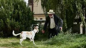 Задник к фильму "Невероятные приключения Гампи" #393514