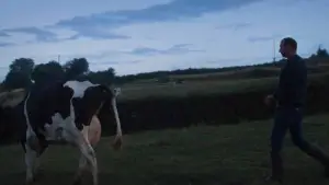 Задник к фильму "Un été à la ferme - L