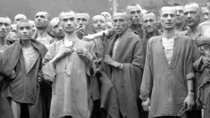 Задник к фильму "Ночь и туман" #440436