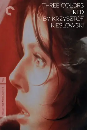 Постер к фильму "Три цвета: Красный" #94005