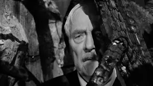 Задник к фильму "Земляничная поляна" #177602