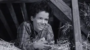 Задник к фильму "Жестяная звезда" #429195