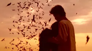 Задник к фильму "Пикник" #495212