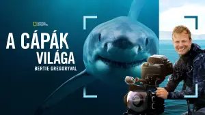 Задник к фильму "Лицом к лицу с акулами с Берти Грегори" #793005