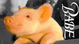 Задник к фильму "Бэйб: Четвероногий малыш" #115747