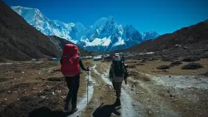 Задник к фильму "Back to Tilicho" #781632