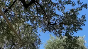 Задник к фильму "" #199924