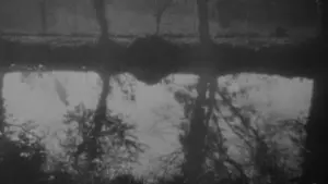 Задник к фильму "Вампир: Сон Алена Грея" #478698