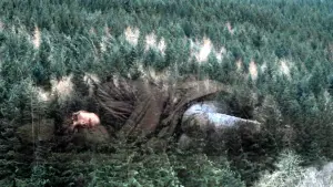 Задник к фильму "Побудь в моей шкуре" #320422