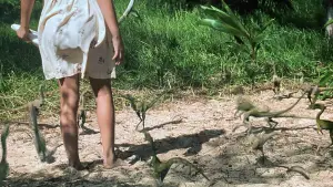 Задник к фильму "Парк Юрского периода 2: Затерянный мир" #631615