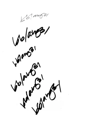 Постер к фильму "THE BB/ANG3L EXPERIENCE"