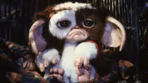 Задник к фильму "Гремлины 2: Новенькая партия" #692538