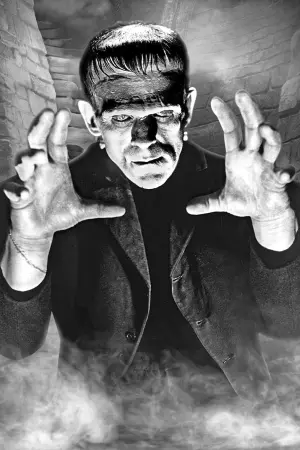 Постер к фильму "Франкенштейн" #212447