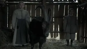 Задник к фильму "Ведьма" #600234