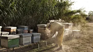 Задник к фильму "Чудеса" #461695