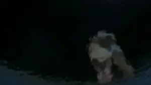 Задник к фильму "Девушка из воды" #897707
