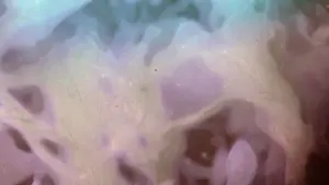 Задник к фильму "" #431178