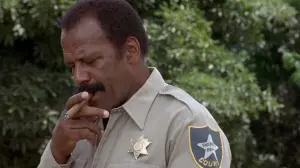 Задник к фильму "Дети кукурузы 5: Поля страха" #418222