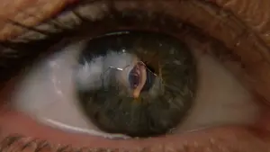 Задник к фильму "Человек-паук 2" #633119